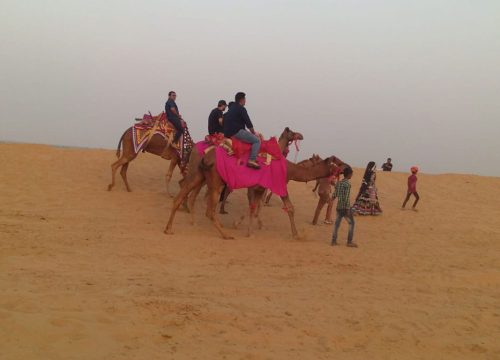 Camel Safari & Camping – The Heart of Desert Tourism
