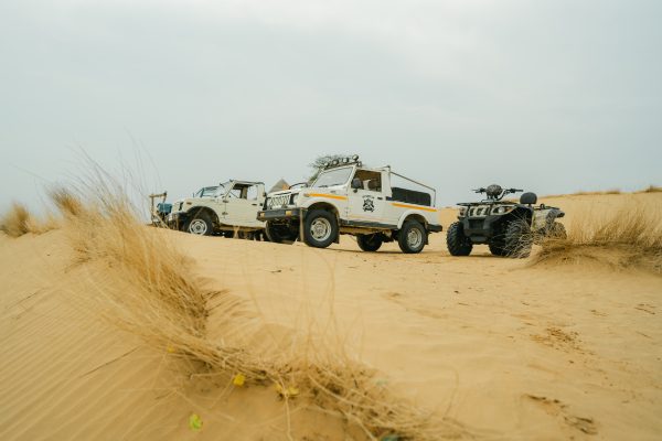 Camel safari with dance & dinner