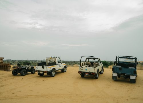 Desert And Safari