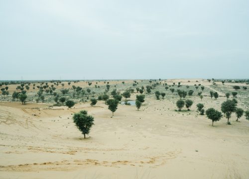 Best Jaisalmer Desert Camps for an Unforgettable Stay