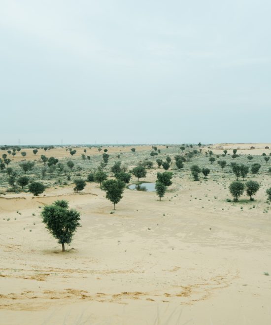Best Jaisalmer Desert Camps for an Unforgettable Stay