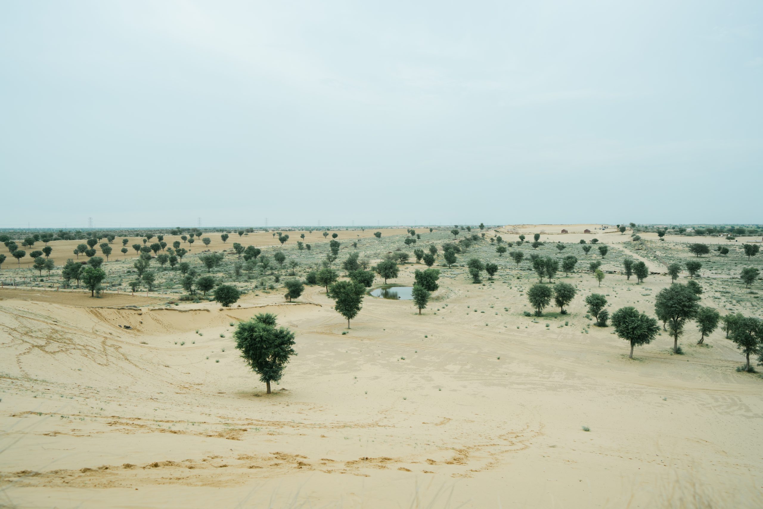 Camel Ride - Image 2